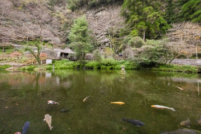 20201130_takachiho_gorge_25_dt5chn.jpg