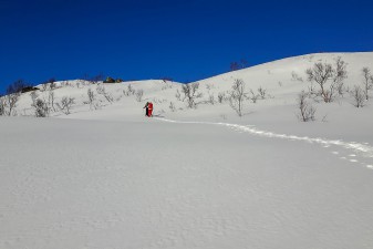 14lofoten-schneeschuh-tour.jpg