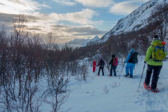 lofoten-ws4-1-scaled.jpg