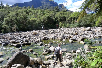 02_08_coromandel-hike-04.jpg