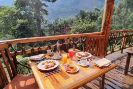 brekkie-on-the-terrace.jpg