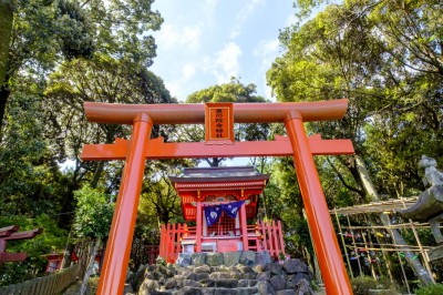 20201014_yutoku_inari_jinja_shrine_37_ljhrmp.jpg