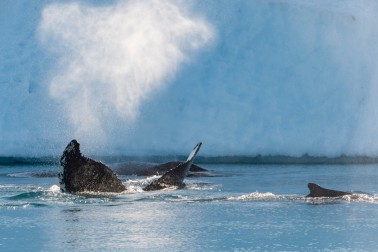 best-of-10066_a240819_kangerlussuaq-nomestudio-ponant-laurence-fischer.jpg