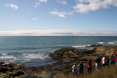 wanderung-zu-den-gelbaugen-pinguinen.jpg